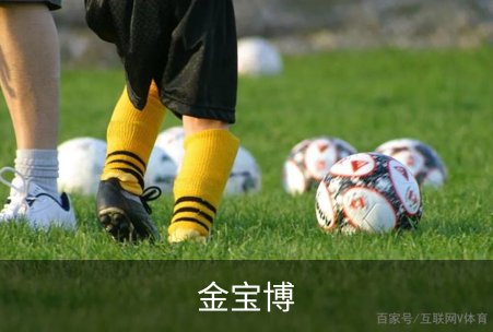 走进金宝博