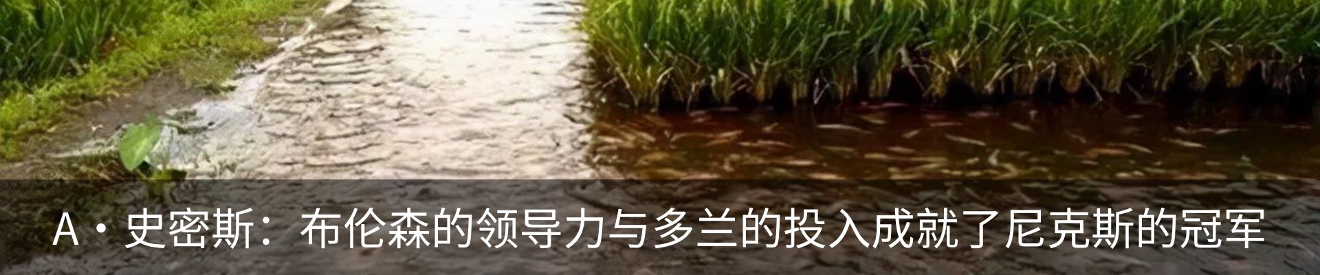 行业资讯